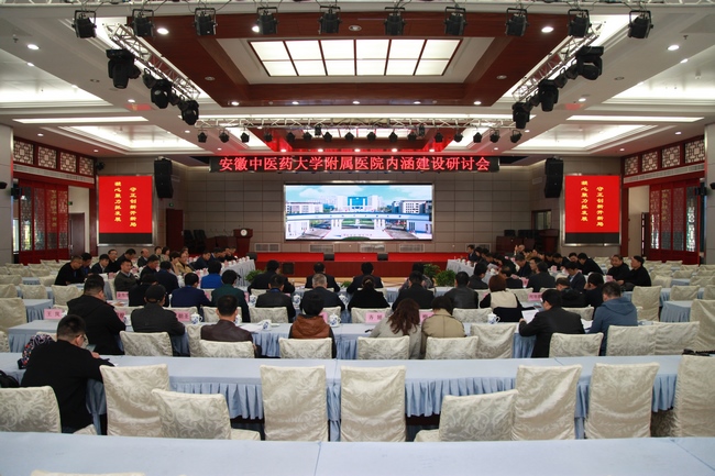 安徽中醫(yī)藥大學(xué)附屬醫(yī)院內(nèi)涵建設(shè)研討會(huì)在蕪湖召開(kāi)(圖6)