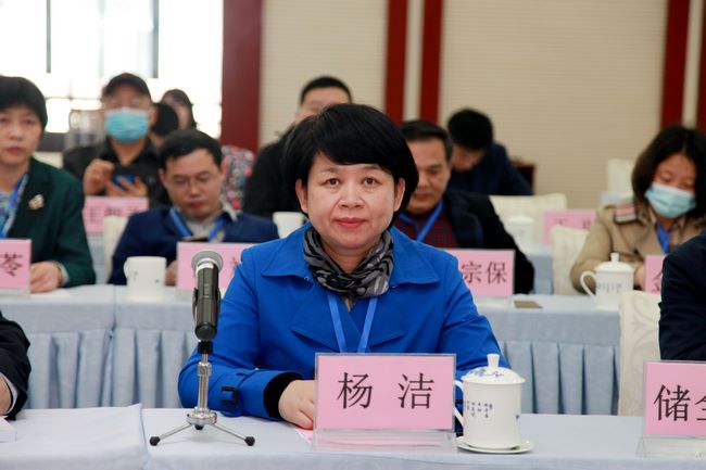 安徽中醫(yī)藥大學(xué)附屬醫(yī)院內(nèi)涵建設(shè)研討會(huì)在蕪湖召開(kāi)(圖8)