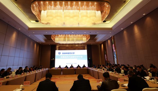 安徽中醫(yī)藥大學(xué)附屬醫(yī)院內(nèi)涵建設(shè)研討會(huì)在蕪湖召開(kāi)(圖13)