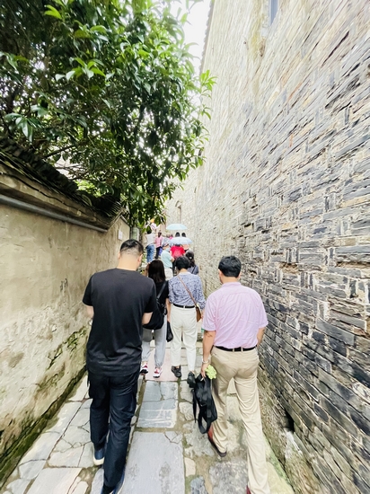 【黨史學(xué)習(xí)教育】我院組織民主黨派人士開(kāi)展黨史學(xué)習(xí)教育實(shí)踐活動(dòng)(圖2)
