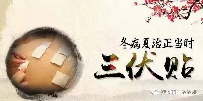 蕪湖市中醫(yī)醫(yī)院三伏貼來啦！冬病夏治的法寶(圖1)