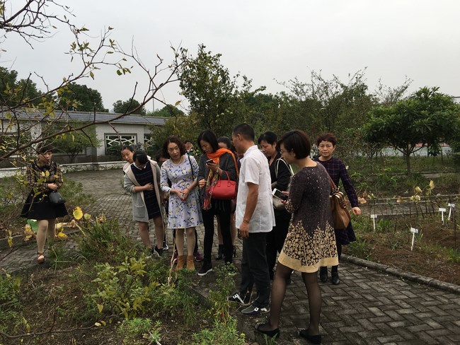護理部舉辦2016年蕪湖市中醫(yī)護理專業(yè)學組活動(圖1)