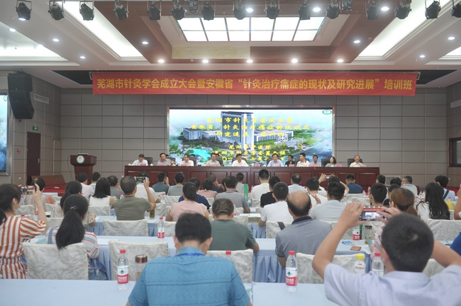 守正創(chuàng)新 弘揚國粹——蕪湖市針灸學會正式成立(圖1)