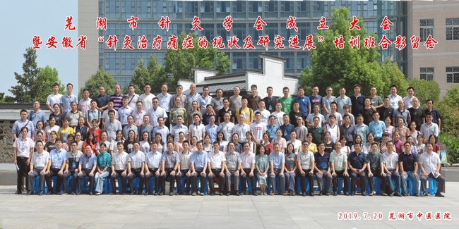守正創(chuàng)新 弘揚國粹——蕪湖市針灸學會正式成立(圖12)