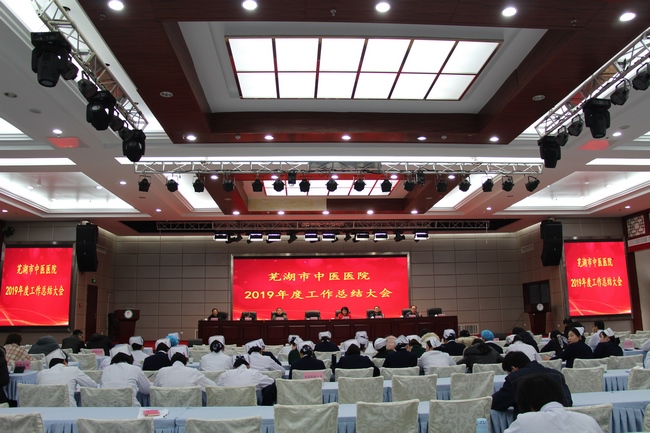 我院召開2019年度醫(yī)院工作總結大會(圖1)