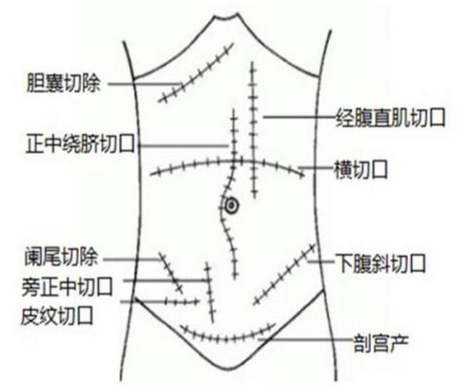 圖片1 (復制).jpg