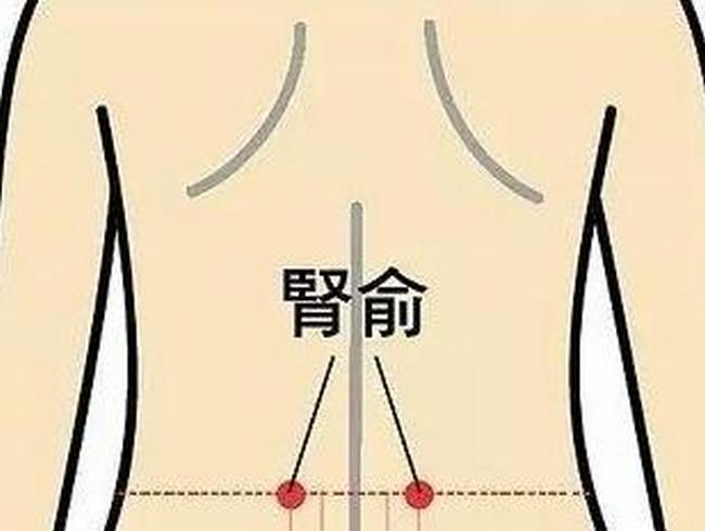 圖片2 (復制).jpg