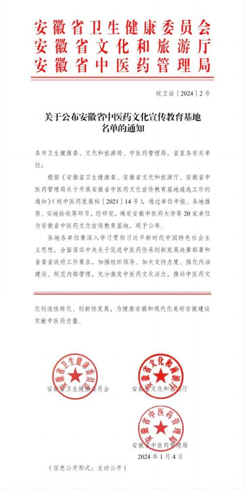 【2024我們攜手同行】逐夢奮進(jìn)，篤行實干，以拼搏之姿擁抱2025！(圖3)