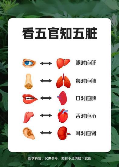 五行對(duì)應(yīng)五臟五官 (Copy).jpg 五行對(duì)應(yīng)五臟五官 (Copy).jpg