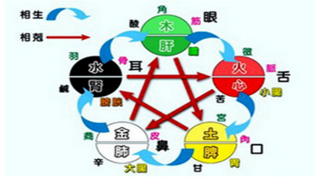 圖片11 (Copy).png