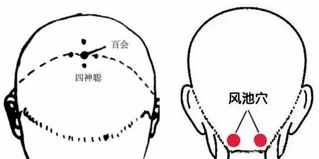 7 (Copy).png